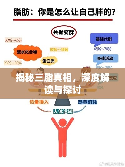 2025年5月 第7页