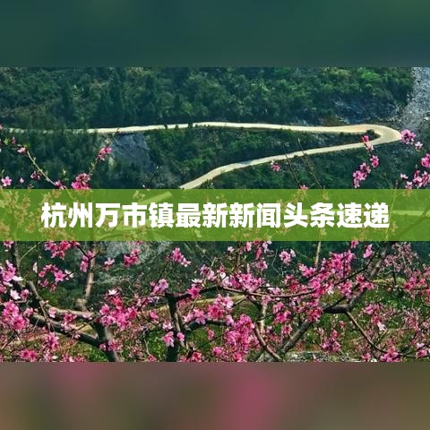 2025年5月 第4页