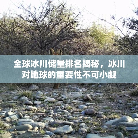 2025年6月 第125页