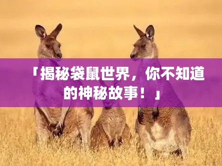 2025年6月 第120页