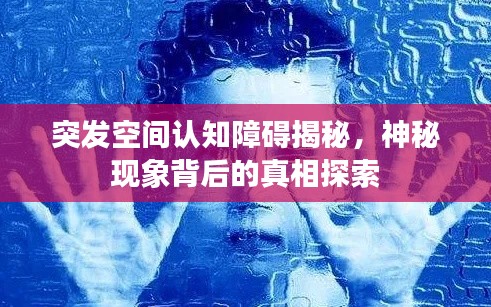2025年6月 第115页