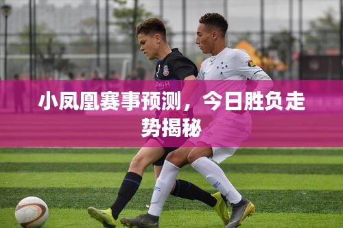 小凤凰赛事预测，今日胜负走势揭秘