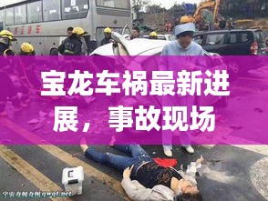 鸟为食亡