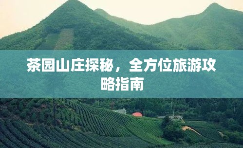 百鸟齐鸣