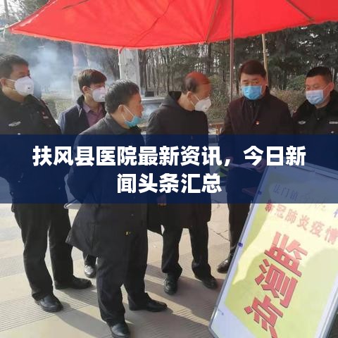 鸟覆危巢