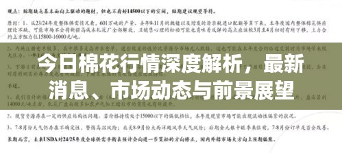 今日棉花行情深度解析，最新消息、市场动态与前景展望